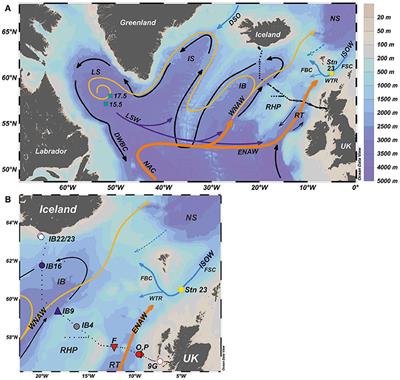 Rare Earth Element Distribution in the NE Atlantic: Evidence for Benthic Sources, Longevity of the Seawater Signal, and Biogeochemical Cycling